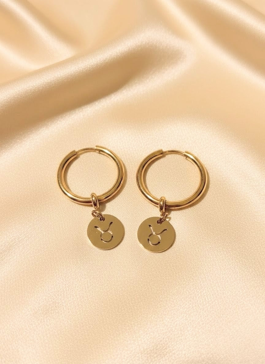 Zodiac Hoop Earrings